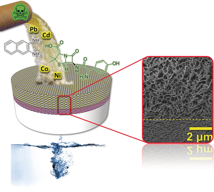 Tough Aqua Material for Water Purification - Decontamination of water with a robust and sustainable membrane assembled from two synergistically working components