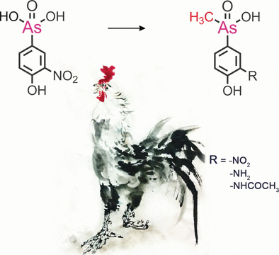 Poultry Feed with Arsenic More Problematic than Assumed? - New methylated phenylarsenical metabolites identified in chicken livers