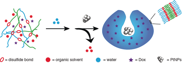 Nanosubmarine with Self-Destroying Activity - Self-destroyed redox-sensitive stomatocyte nanomotor delivers and releases drugs for cells