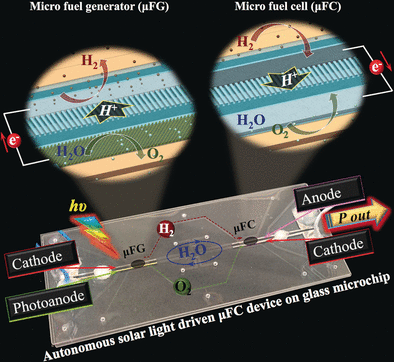 Photopower for Microlabs - A solar-light-driven fully integrated microfluidic device could serve as an autonomous fuel-cell-based power source for microsensors or lab-on-a-chip applications
