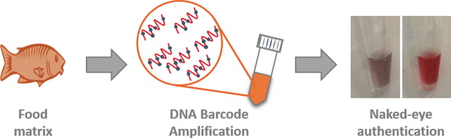Food or Fraud? - A smart universal tool based on a simplified DNA barcoding technique combined with nanotechnology enables food authentication with the naked eye