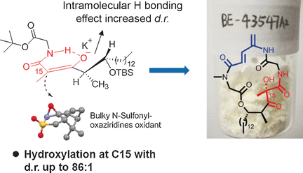 Anti-Pancreatic Cancer Drug in Research Focus - Synthesis and anti-pancreatic cancer stem cell activity of BE-43547, a highly promising anticancer molecule family
