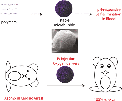 Lifesaving Microbubbles - Stable, self-disrupting microbubbles as intravenous oxygen carriers