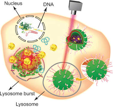Multifunctional Platform for the Delivery of Gene Therapeutics - Thermo-triggered release of a genome-editing machinery by modified gold nanoparticles for tumor therapy