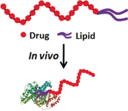 Hitchhiking to Kill - Transport of lipid-conjugated floxuridine by natural serum albumin for delivery to cancer cells