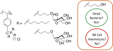 Antibacterial Polymers - Surprising antibacterial activity and selectivity of hydrophilic phosphonium polymers