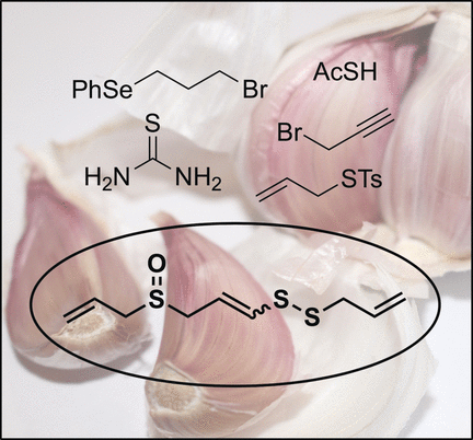Garlic Ingredient from the Lab Bench - Short total synthesis of ajoene, a biologically active component in oil extracts of garlic