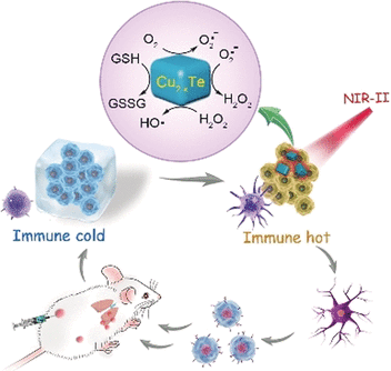 Immune System Upgrade - Catalytic immunotherapy for cancer: nanoparticles act as artificial enzymes