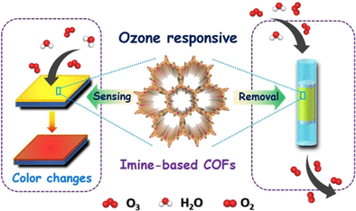 Sensor and Detoxifier in One - Crystalline polymers for the rapid detection and efficient degradation of ozone