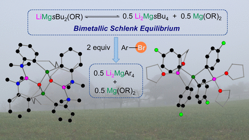 In Equilibrium - Lithium-magnesium alkyl-alkoxy intermediates in Br-Mg exchange