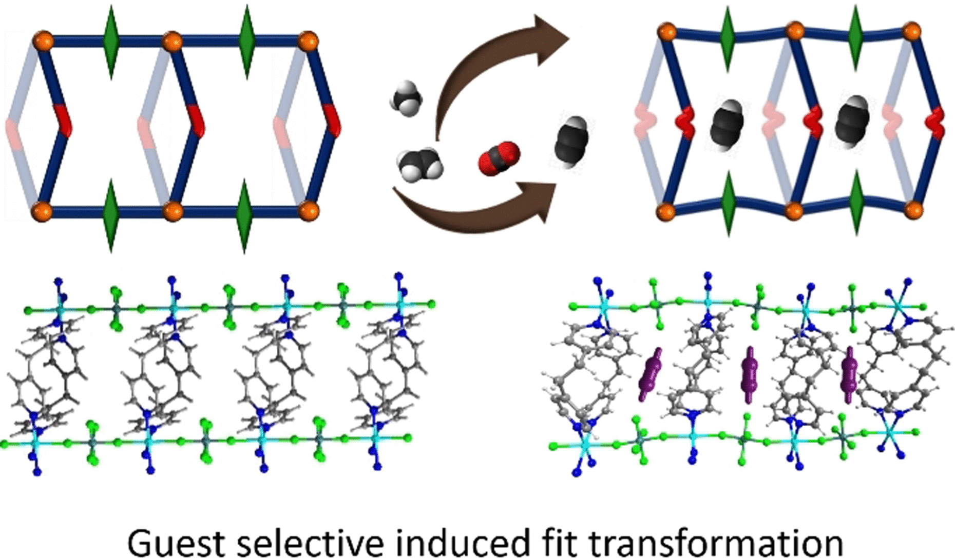 Crystals Made to Fit - Induced-fit adsorbent for acetylene
