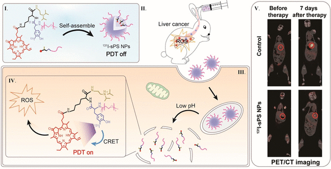Cancer Treatment with Built-in Light - Deep photodynamic therapy: photosensitizer irradiates itself
