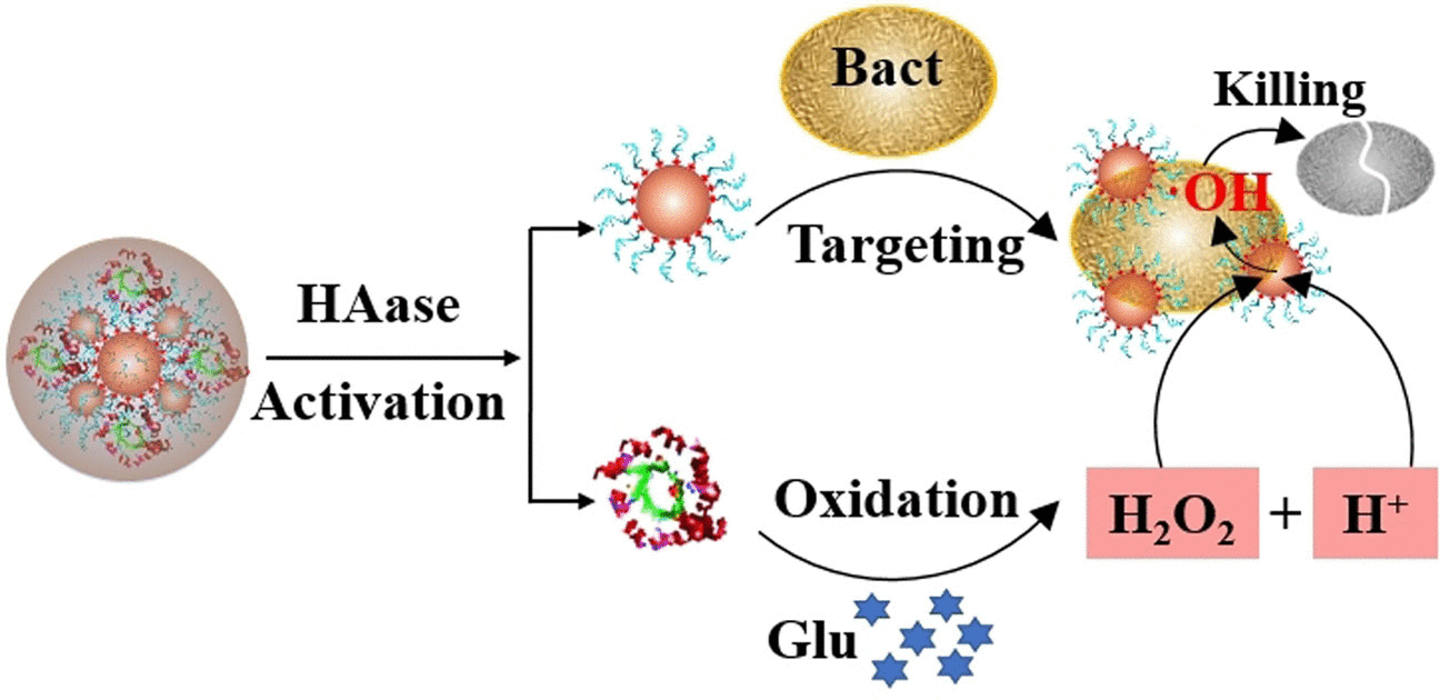 Antibacterial Nanozymes - Healing chronic wounds with nanochemistry