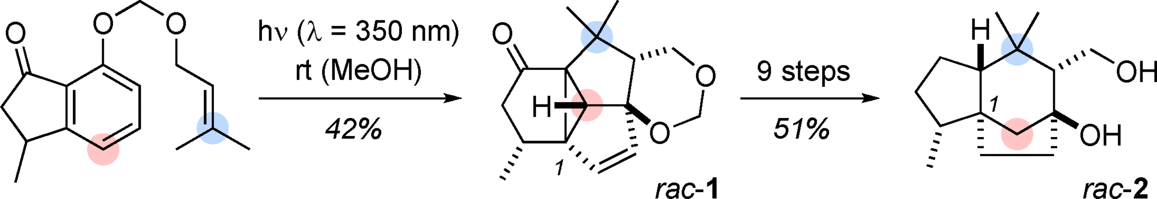 Productive Cascade - Total synthesis of the sesquiterpene agarozizanol B