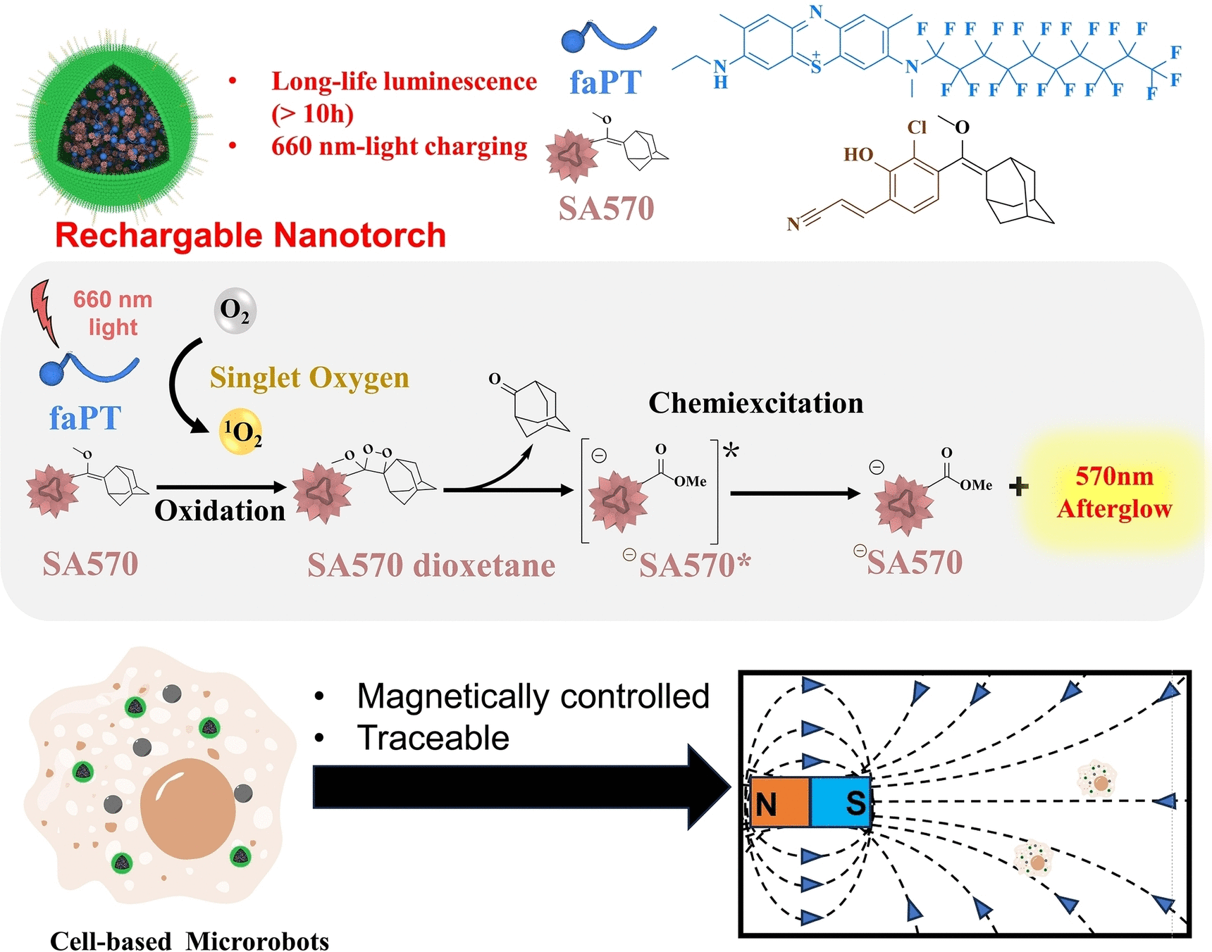 Rechargeable Nanotorch - Afterglow luminescence imaging tracks cell-based microrobots in real time