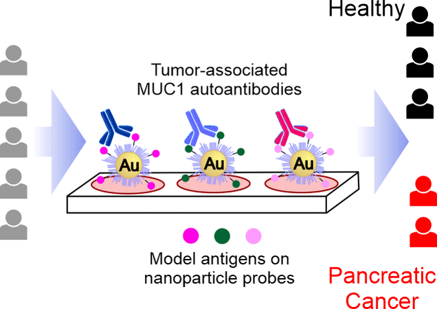 Faster Detection of Pancreatic Cancer - Glycopeptide probes detect tumor-associated antibodies in blood samples
