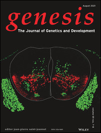 Cover Image, Volume 59, Issue 7-8