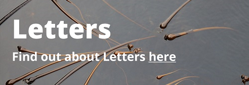 Collection of Letter Articles