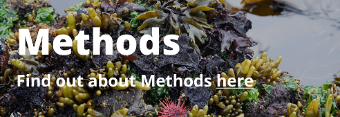 Click here to view our collection of Methods Articles