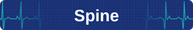 Spine