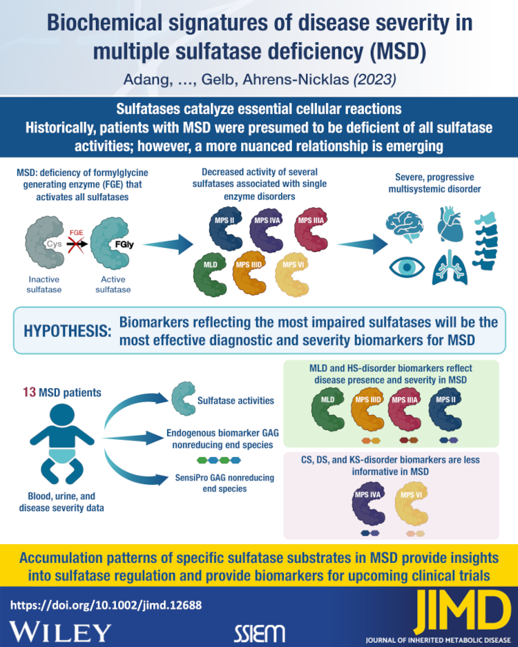 Biochemical signatures of disease severity in multiple sulfatase deficiency