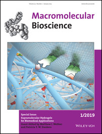 Cover Picture: Supramolecular Hydrogels for Biomedical Applications