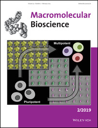 Back Cover: Two-Photon Polymerization as a Tool for Studying 3D Printed Topography-Induced Stem Cell Fate
