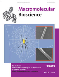 Cover Picture: Role of Skin Layers on Mechanical Properties and Supercontraction of Spider Dragline Silk Fiber