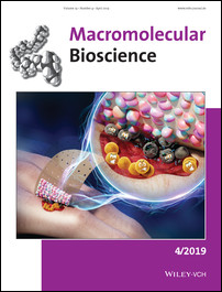 Cover Picture: Construction of Antibacterial N-Halamine Polymer Nanomaterials Capable of Bacterial Membrane Disruption for Efficient Anti-Infective Wound Therapy
