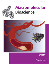 Cover Picture: Peptide Amphiphile Supramolecular Nanostructures as a Targeted Therapy for Atherosclerosis