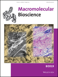 Cover Picture: Rational Design and Development of Anisotropic and Mechanically Strong Gelatin-Based Stress Relaxing Hydrogels for Osteogenic/Chondrogenic Differentiation