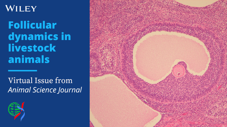 Follicular Dynamics in Livestock