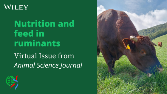 -Review- Nutrition and Feed in Ruminants promotional image