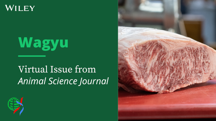 Wagyu Virtual Issue