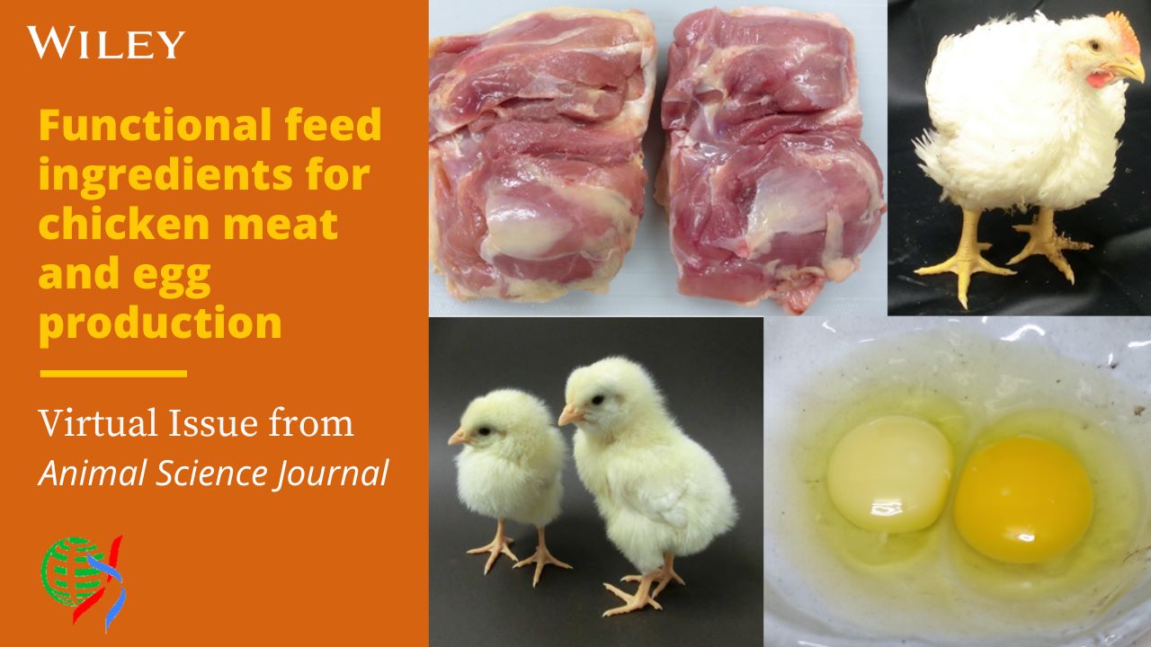 Functional feed ingredients for chicken meat and egg production virtual issue promo image