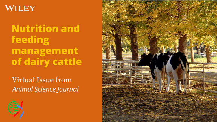 Nutrition and feeding management of dairy cattle