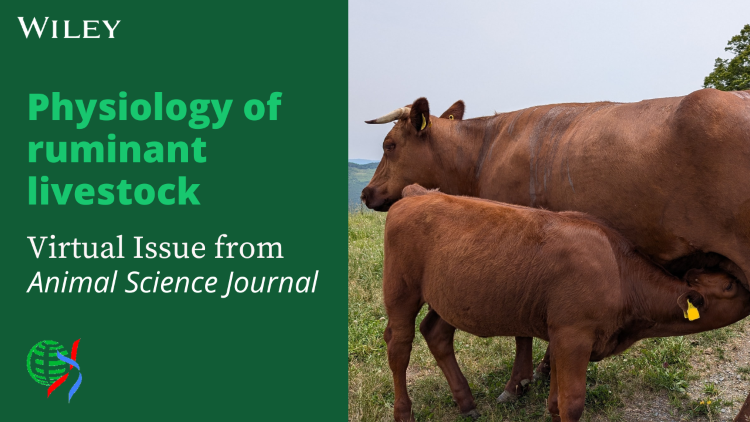 Physiology of ruminant livestock promotional image