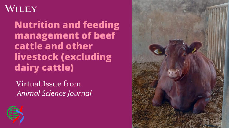 Nutrition and feeding management of beef cattle and other livestock (excluding dairy cattle) promotional image