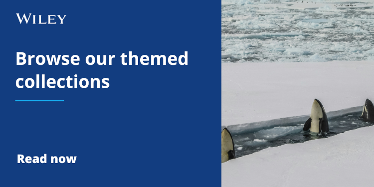 Explore our themed collections