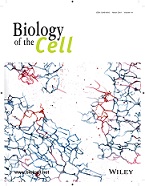 BOC cover 111_4