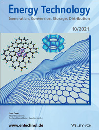 Cover Picture: The New Material Battery Based on Mg/C-π