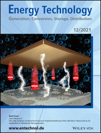 Back Cover: One-Step Synthesis of Hierarchical Structure Polydimethylsiloxane Films with Micro-/Nanosurfaces for Application in Triboelectric Nanogenerators