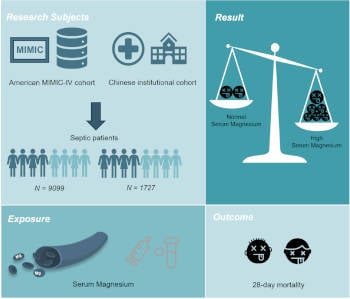High serum magnesium level is associated with increased mortality in patients with sepsis: an international, multicenter retrospective study