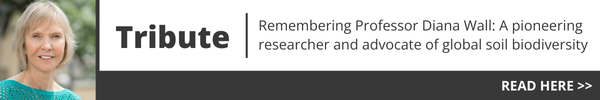Prof Diana Wall: A pioneering researcher and advocate of global soil biodiversity Prof Diana Wall: A pioneering researcher and advocate of global soil biodiversity