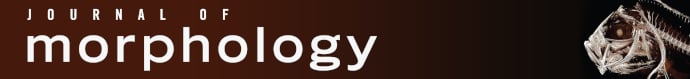 Journal of Morphology