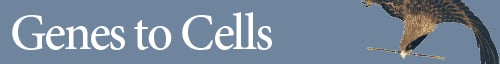 Genes to Cells