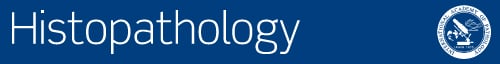 Histopathology