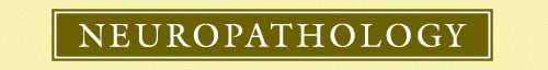Neuropathology