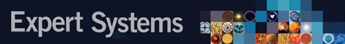 Expert Systems