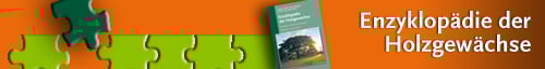 Enzyklopädie der Holzgewächse: Handbuch und Atlas der Dendrologie